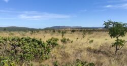 Chácara 5ha – na  Fazenda São Bento – entre Alto Paraíso e São Jorge