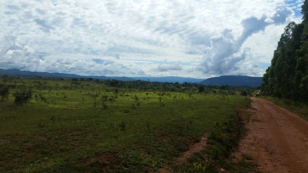 Chácara 4 ha – 5km de Alto Paraíso sentido Cachoeira dos Cristais