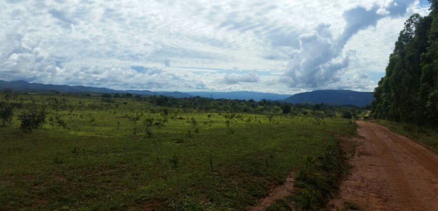 Chácara 4 ha – 5km de Alto Paraíso sentido Cachoeira dos Cristais