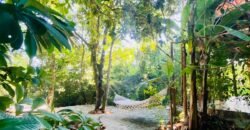 Pousada – Rio – Poço para Banho – Moinho – 4.000m2 – 12km de Alto Paraíso de Goiás Pousada – Rio – Poço para Banho – Moinho – 4.000m2 – 12km de Alto Paraíso de Goiás