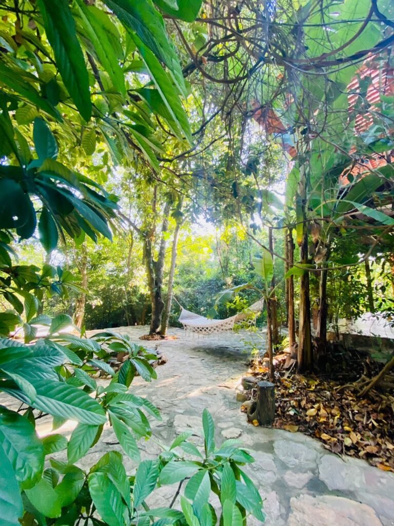 Pousada – Rio – Poço para Banho – Moinho – 4.000m2 – 12km de Alto Paraíso de Goiás