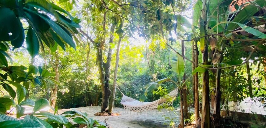 Pousada – Rio – Poço para Banho – Moinho – 4.000m2 – 12km de Alto Paraíso de Goiás
