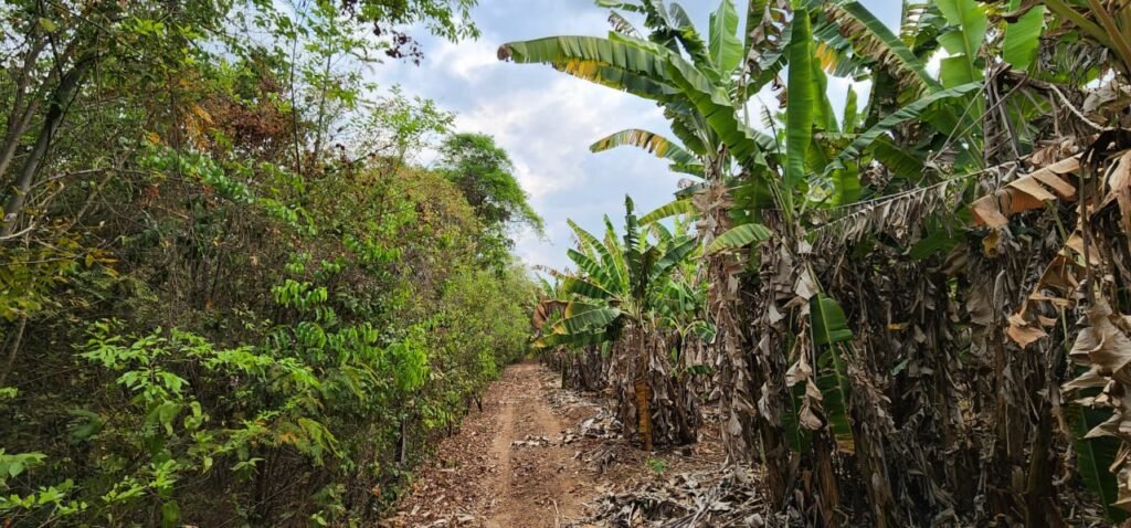 Chácara 4ha Beira Rio São Miguel – 17km de São Jorge – Chapada dos Veadeiros