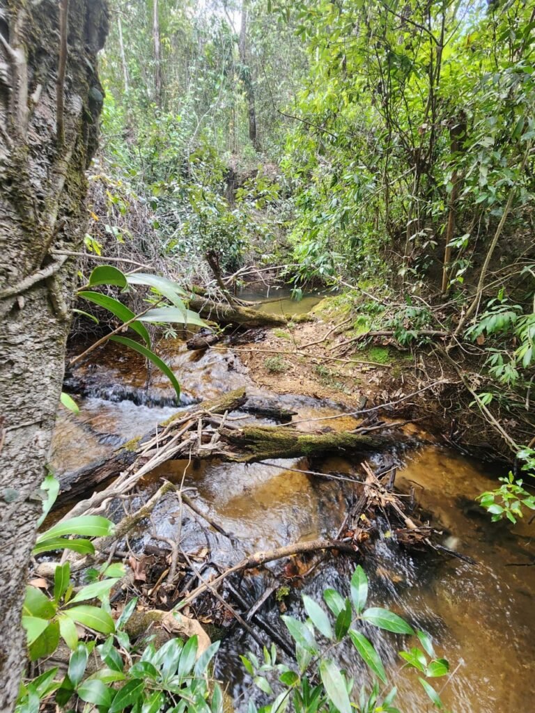 Chácara 5,30ha – Rio – Morro da Baleia – 13 km de Alto Paraíso de Goiás sentido São Jorge