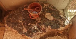 Pousada – Alto Padrão – Piscina Natural – Bairro Eldorado – Alto Paraíso de Goiás Pousada – Alto Padrão – Piscina Natural – Bairro Eldorado – Alto Paraíso de Goiás