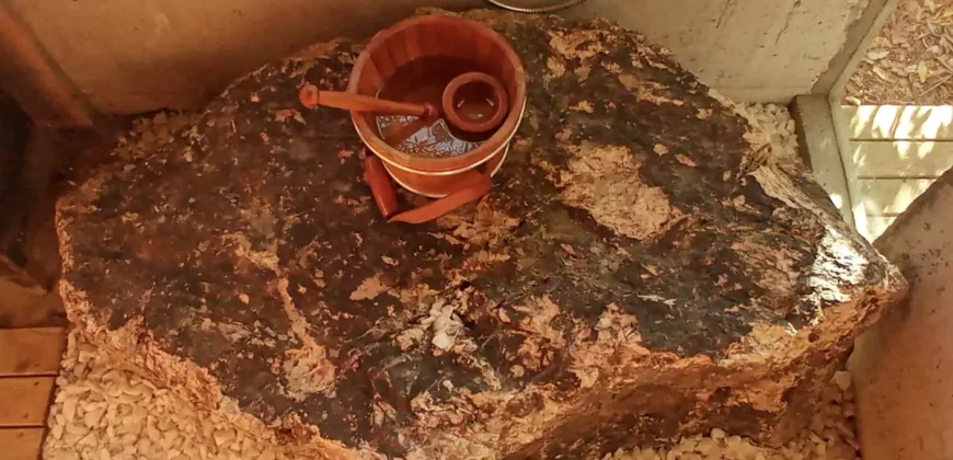 Pousada – Alto Padrão – Piscina Natural – Bairro Eldorado – Alto Paraíso de Goiás