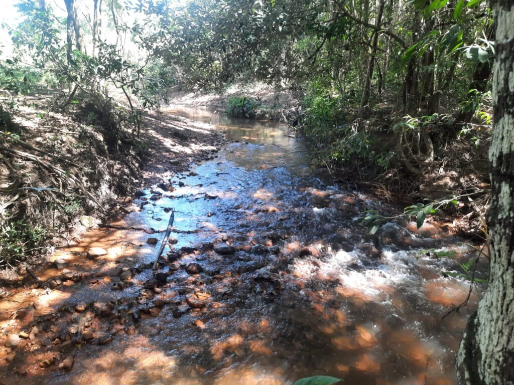 Chácara 2.7 Alq. – Povoado Bandeira – Rio – Nascente – 24km de Alto Paraíso de Goiás