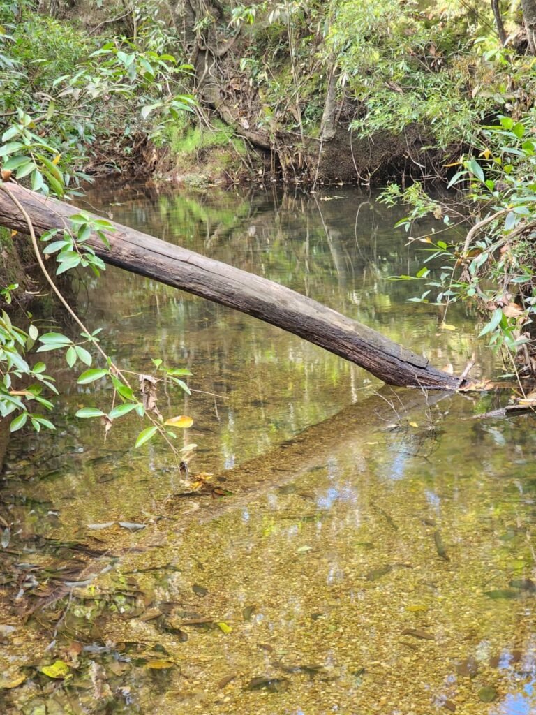 Chácara 5,30ha – Rio – Morro da Baleia – 13 km de Alto Paraíso de Goiás sentido São Jorge