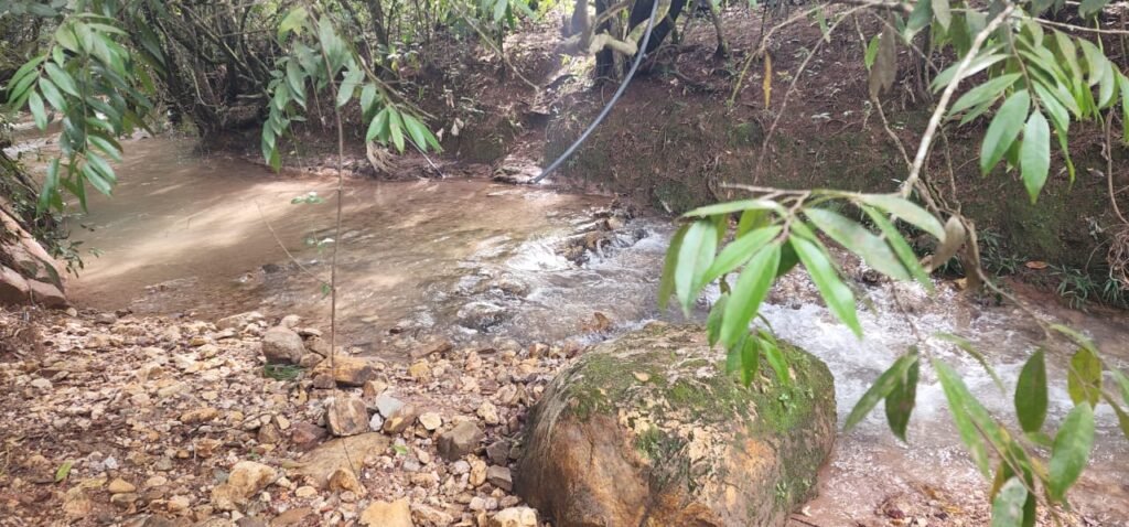 Casa – Rio – Lote 9.000 m2 – Alto Paraíso de Goiás