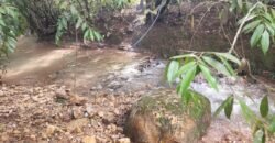 Casa – Rio – Lote 9.000 m2 – Alto Paraíso de Goiás