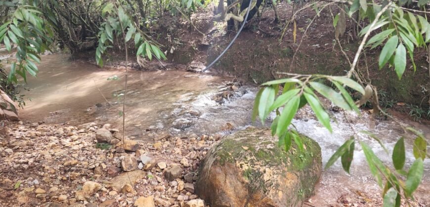 Casa – Rio – Lote 9.000 m2 – Alto Paraíso de Goiás