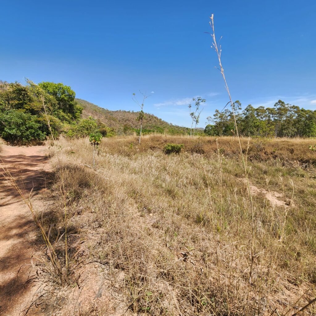 Fazenda 100ha- Rio – Casa Sede – 13km de Alto Paraíso e 1km de Terra