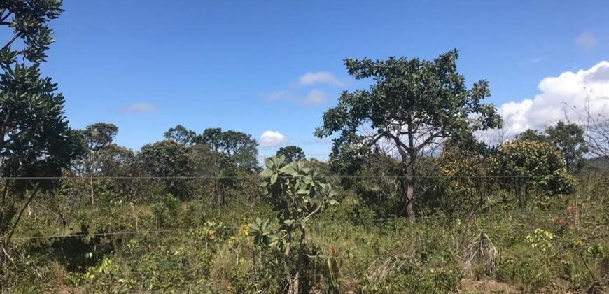 Chácara 4ha – 4km de Alto Paraíso Sentido Cachoeira dos Cristais