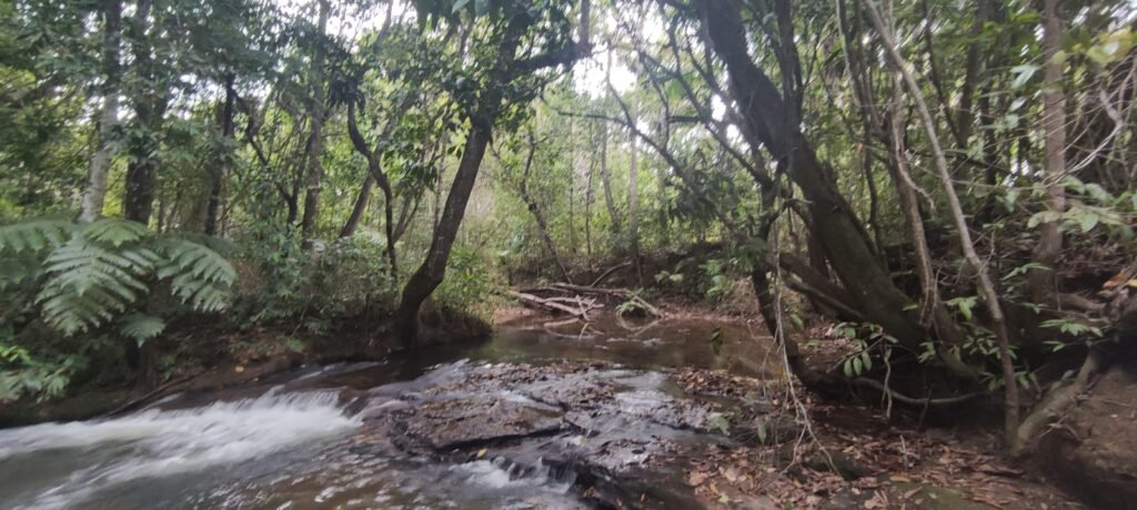 Maravilhosa Chácara 20ha – Recifra – Alto Paraíso de Goiás
