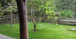 Casa – Rio – Lote 9.000 m2 – Alto Paraíso de Goiás