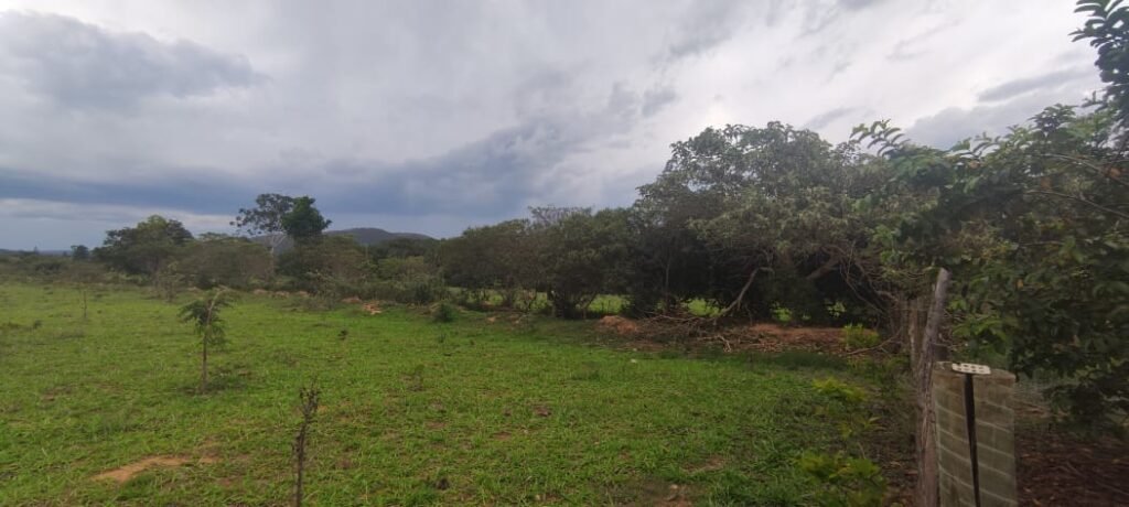 Maravilhosa Chácara 20ha – Recifra – Alto Paraíso de Goiás