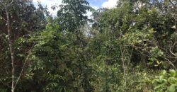 Chácara Suçuarana com RIO, Próximo a Cachoeira do Poço Encantado – Chapada dos Veadeiros