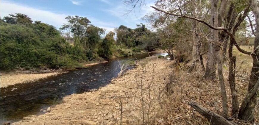 Fazenda 51ha – Beira Rio – Sertão – Alto Paraíso de Goiás
