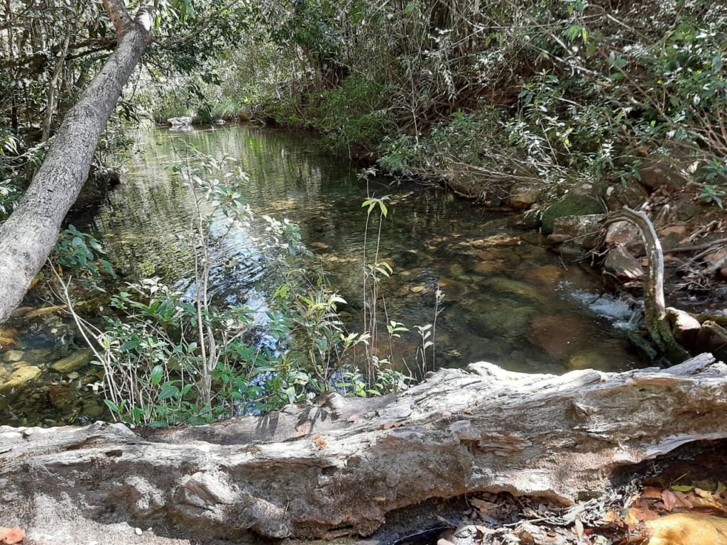 Casa – Rio – Loquinhas – Alto Paraíso de Goiás
