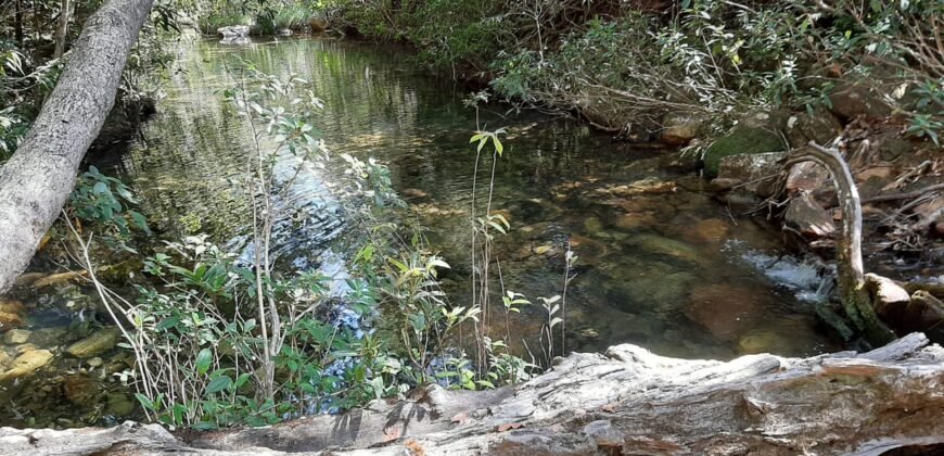 Casa – Rio – Loquinhas – Alto Paraíso de Goiás