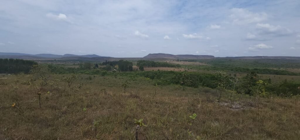 Chácara 4 ha – 13 km de Alto Paraíso sentido São Jorge
