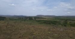 Chácara 4 ha – 13 km de Alto Paraíso sentido São Jorge