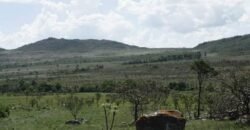 3 Casas Bioconstrução – Condomínio Rural IBC – Rio- 4km de Alto Paraíso de Goiás