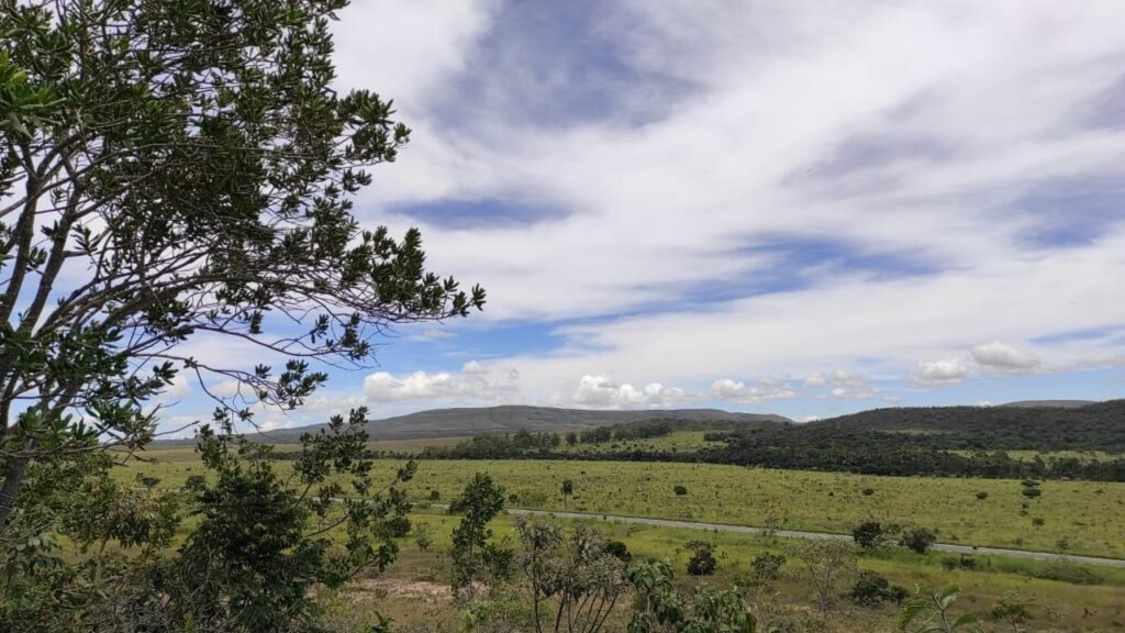 Área 4.7ha – Fazenda São Bento – Margem GO 239 – 7 km de Alto Paraíso sentido São Jorge