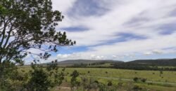 Área 4.7ha – Fazenda São Bento – Margem GO 239 – 7 km de Alto Paraíso sentido São Jorge