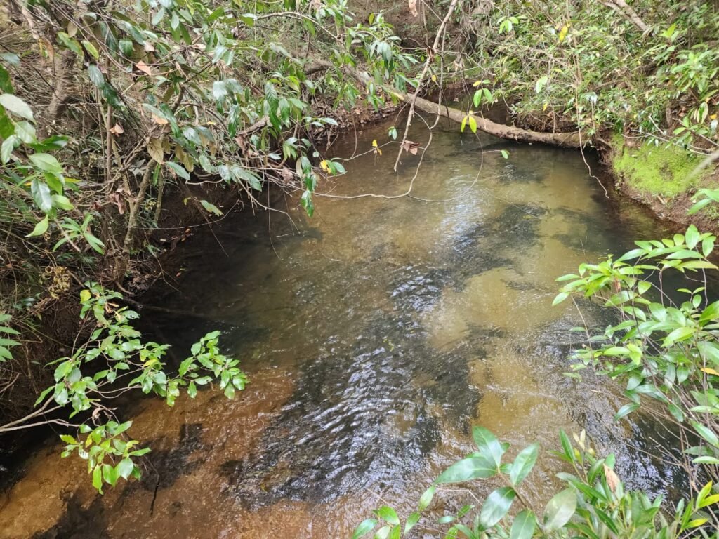 Chácara 5,30ha – Rio – Morro da Baleia – 13 km de Alto Paraíso de Goiás sentido São Jorge