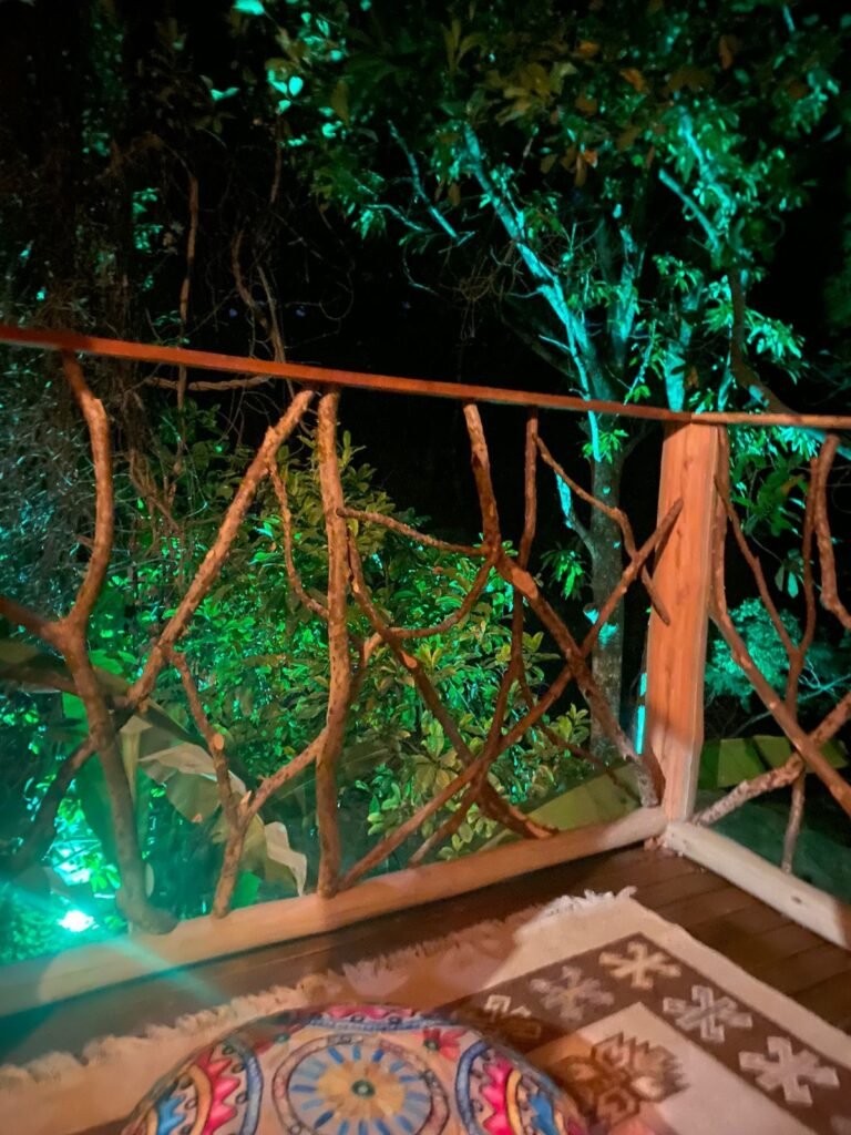 Pousada – Rio – Poço para Banho – Moinho – 4.000m2 – 12km de Alto Paraíso de Goiás