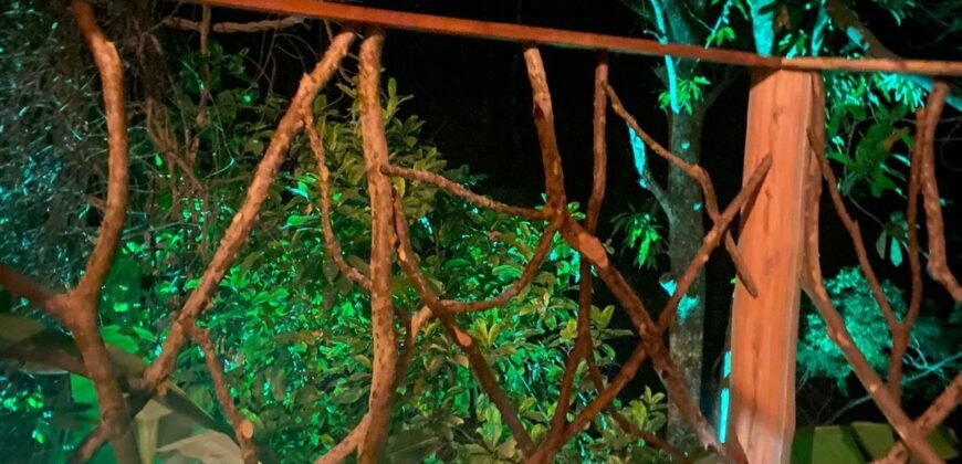 Pousada – Rio – Poço para Banho – Moinho – 4.000m2 – 12km de Alto Paraíso de Goiás