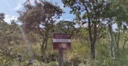 Lote 574m2 – R. dos Vinhaticos – Eldorado – Alto Paraíso de Goiás Lote 574m2 – R. dos Vinhaticos – Eldorado – Alto Paraíso de Goiás