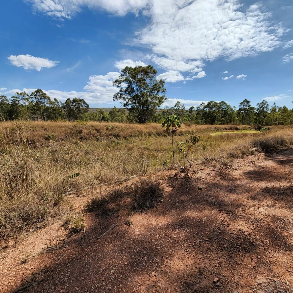 Fazenda 100ha- Rio – Casa Sede – 13km de Alto Paraíso e 1km de Terra