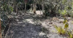 Casa – Rio – Loquinhas – Alto Paraíso de Goiás Casa – Rio – Loquinhas – Alto Paraíso de Goiás