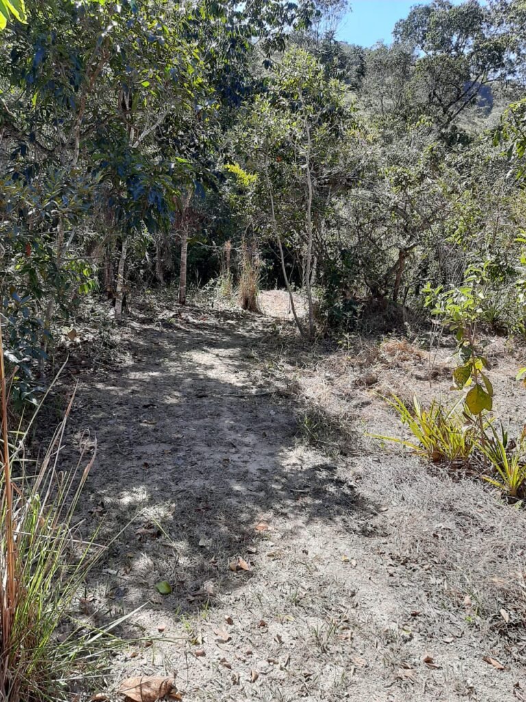 Casa – Rio – Loquinhas – Alto Paraíso de Goiás
