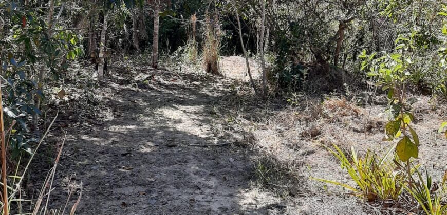 Casa – Rio – Loquinhas – Alto Paraíso de Goiás