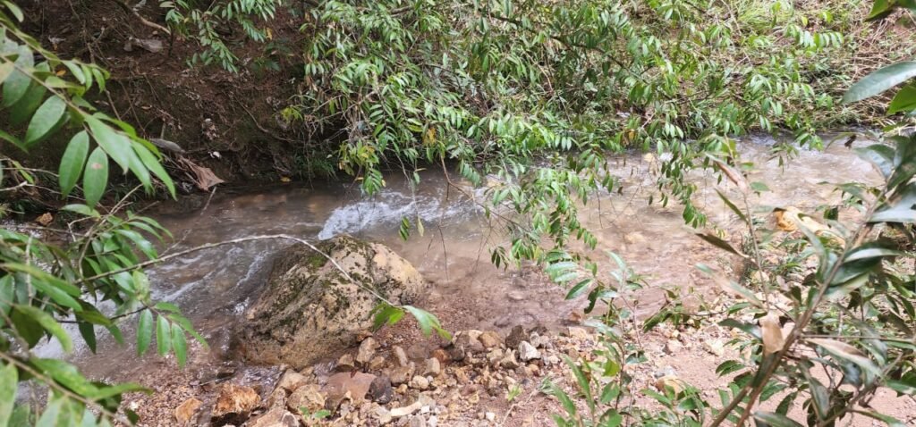 Casa – Rio – Lote 9.000 m2 – Alto Paraíso de Goiás