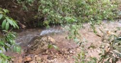 Casa – Rio – Lote 9.000 m2 – Alto Paraíso de Goiás