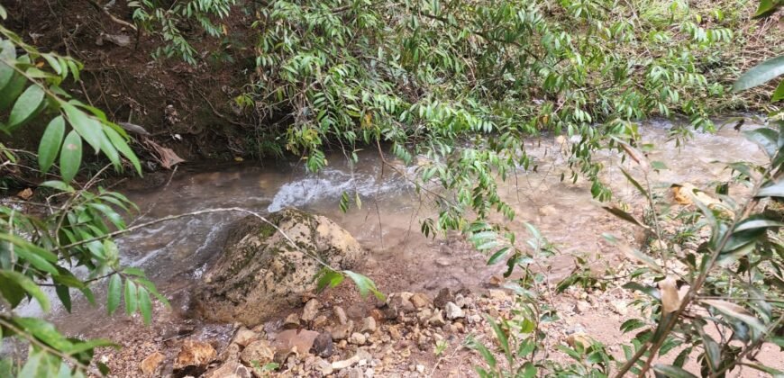 Casa – Rio – Lote 9.000 m2 – Alto Paraíso de Goiás