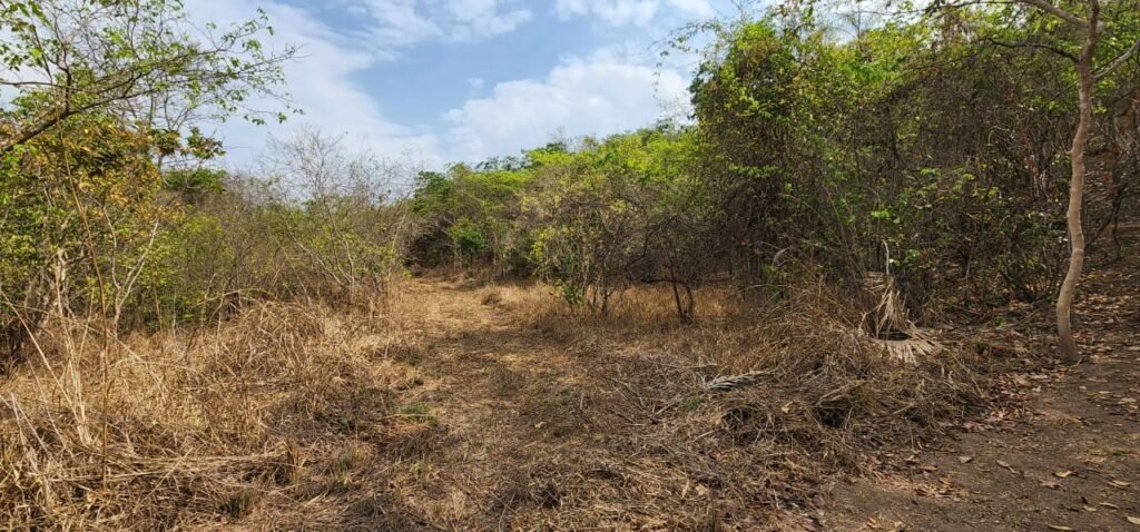 Chácara 4ha Beira Rio São Miguel – 17km de São Jorge – Chapada dos Veadeiros