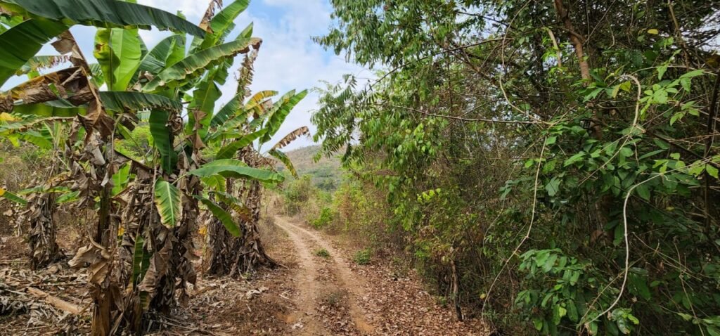 Chácara 4ha Beira Rio São Miguel – 17km de São Jorge – Chapada dos Veadeiros