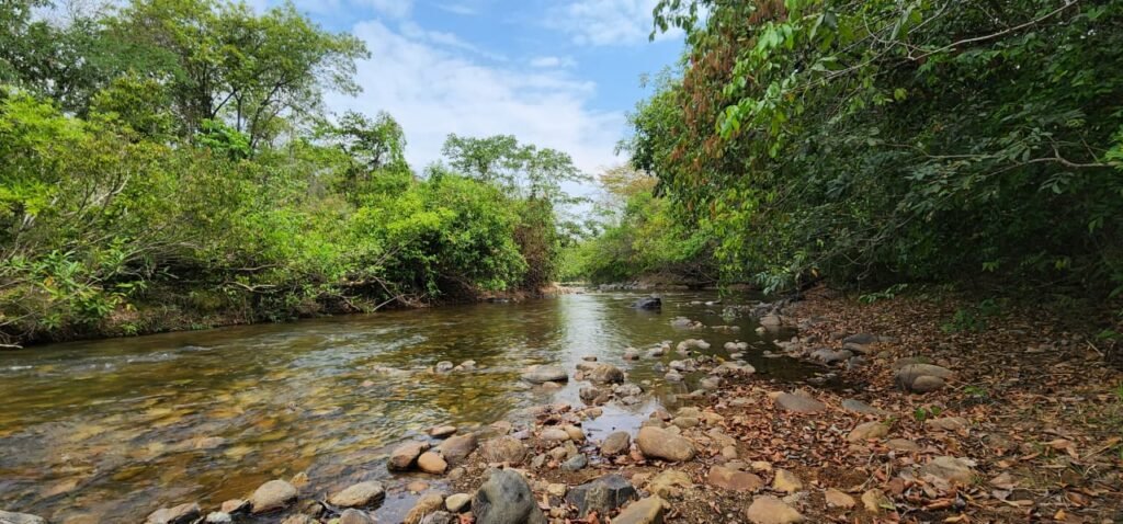 Chácara 11ha Beira Rio São Miguel – 17km de São Jorge – Chapada dos Veadeiros