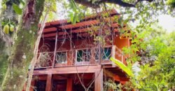 Pousada – Rio – Poço para Banho – Moinho – 4.000m2 – 12km de Alto Paraíso de Goiás Pousada – Rio – Poço para Banho – Moinho – 4.000m2 – 12km de Alto Paraíso de Goiás