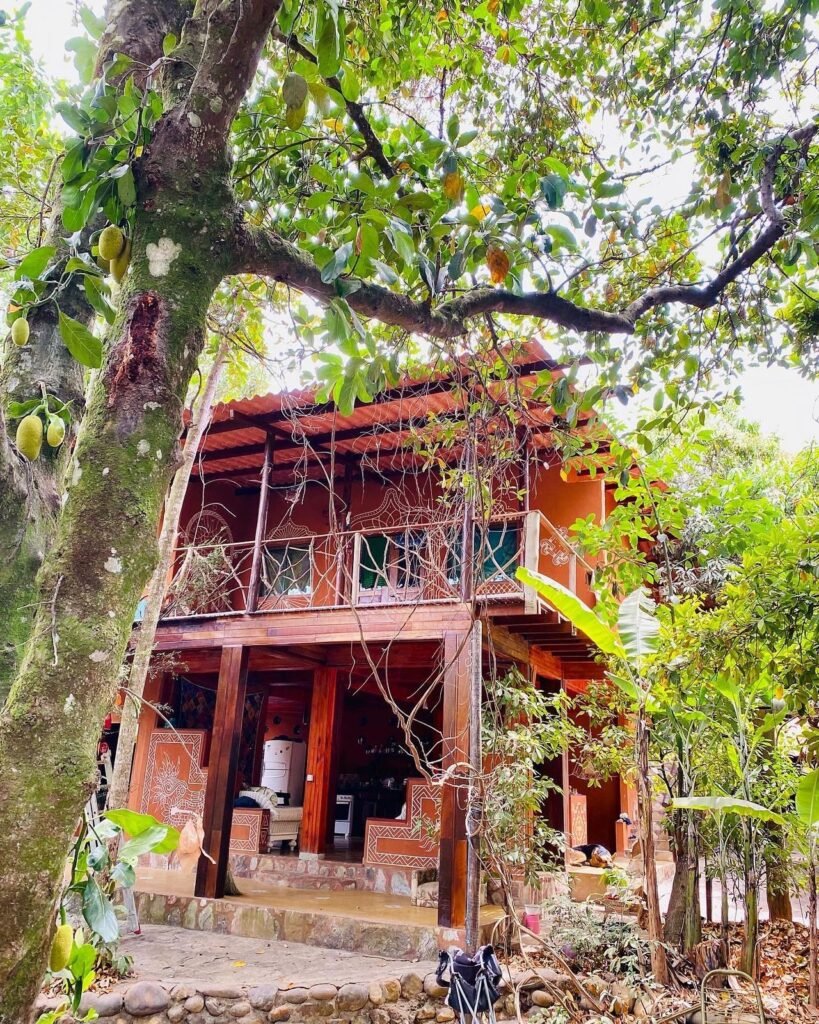 Pousada – Rio – Poço para Banho – Moinho – 4.000m2 – 12km de Alto Paraíso de Goiás