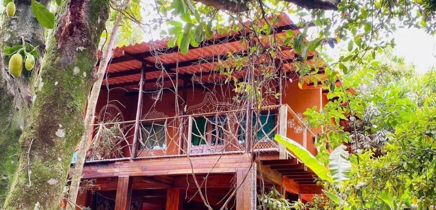 Pousada – Rio – Poço para Banho – Moinho – 4.000m2 – 12km de Alto Paraíso de Goiás