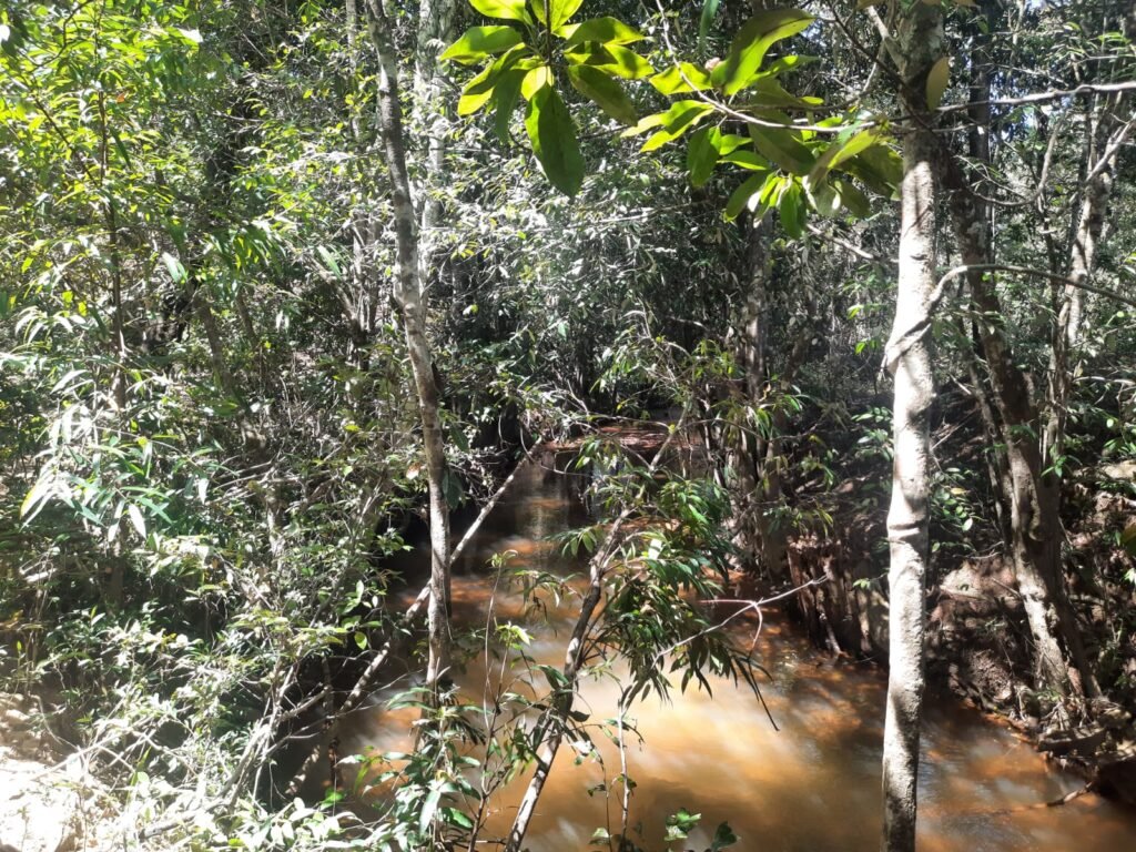 Chácara 2.7 Alq. – Povoado Bandeira – Rio – Nascente – 24km de Alto Paraíso de Goiás