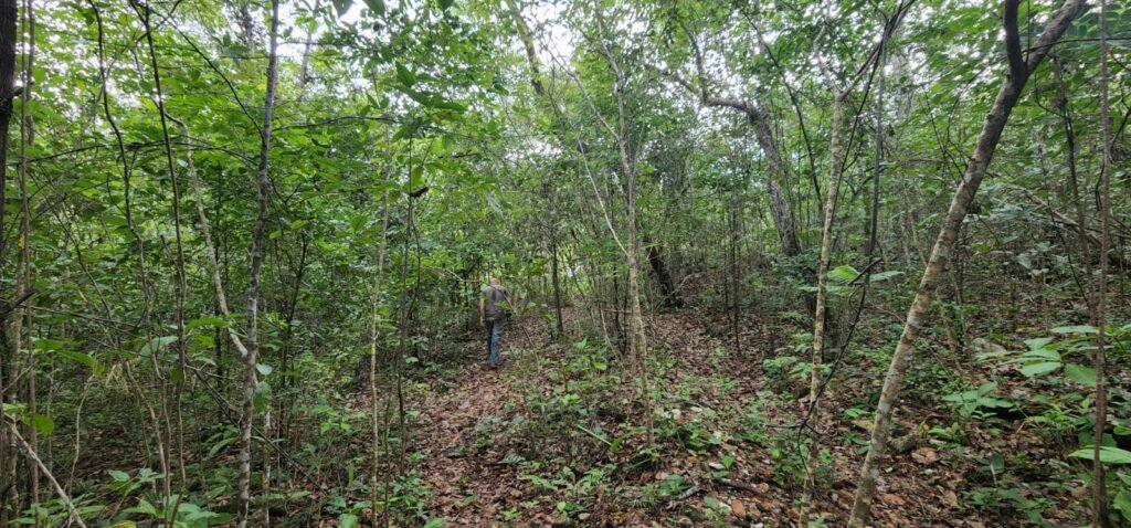 Fazenda 76 ha – Cachoeira – 12km Teresina de Goiás – Chapada dos Veadeiros