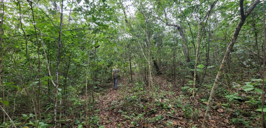 Fazenda 76 ha – Cachoeira – 12km Teresina de Goiás – Chapada dos Veadeiros