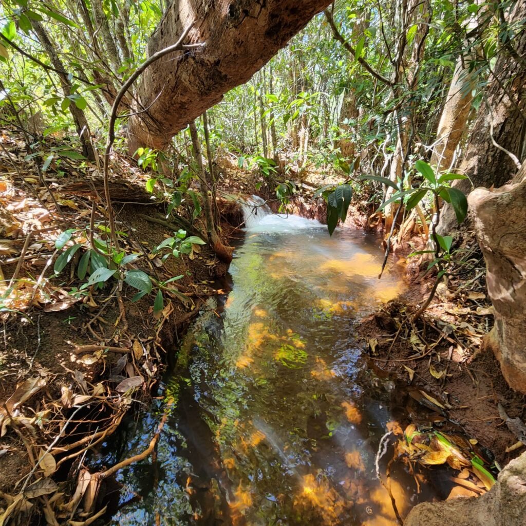 Fazenda 100ha- Rio – Casa Sede – 13km de Alto Paraíso e 1km de Terra